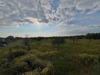 Solar en venta en Llucmajor Interior en Llucmajor