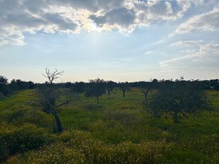 Solar en venta en Llucmajor Interior en Llucmajor