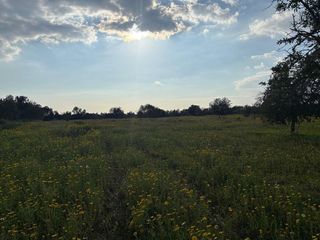 Solar en venta en Llucmajor Interior en Llucmajor