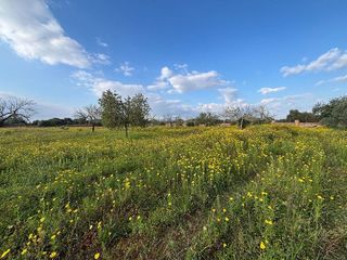 Solar en venta en Llucmajor Interior en Llucmajor