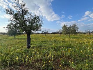 Solar en venta en Llucmajor Interior en Llucmajor