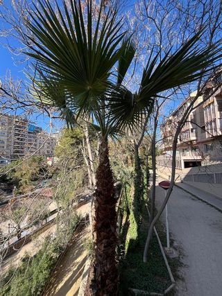 Piso en venta en Centro en Elche