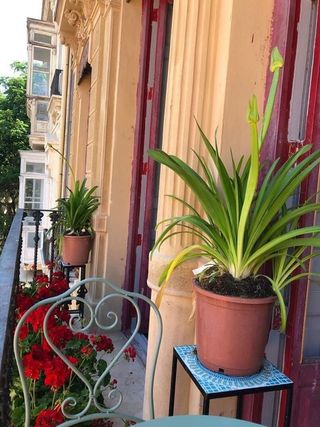 Piso en venta en El Carme en Valencia