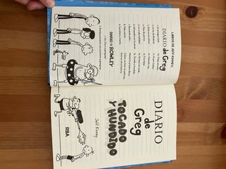 Diario de Greg 15 - Tocado y hundido