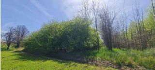 Terreno en venta en Guadix