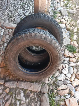 Neumáticos BF Goodrich Todo Terreno