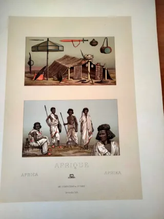 Láminas impresas por Firmin Didot