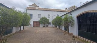 Nave industrial en venta en Palma del Río