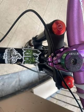 MTB Downhill Specialized 26 personalizzata