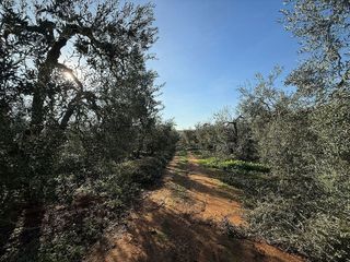Terreno en venta en Pilas
