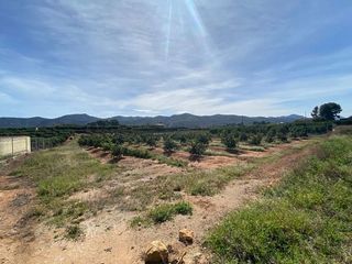 Terreno en venta en Canals