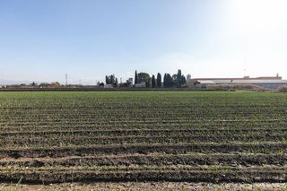 Terreno en venta en Atarfe