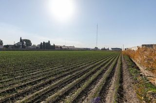 Terreno en venta en Atarfe