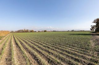 Terreno en venta en Atarfe