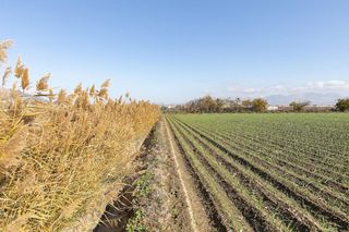 Terreno en venta en Atarfe
