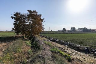 Terreno en venta en Atarfe