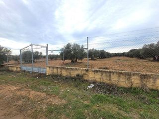 Terreno en venta en Bolaños de Calatrava