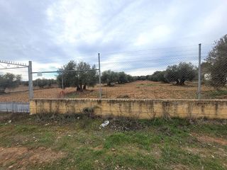 Terreno en venta en Bolaños de Calatrava