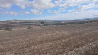 Terreno en venta en Yecla