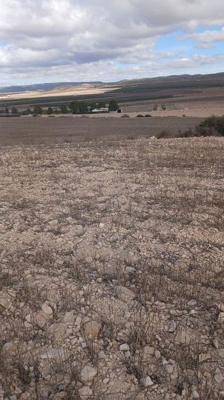 Terreno en venta en Yecla