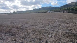 Terreno en venta en Yecla