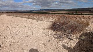 Terreno en venta en Yecla