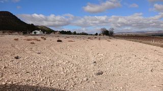Terreno en venta en Yecla