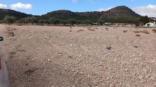Terreno en venta en Yecla