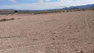 Terreno en venta en Yecla