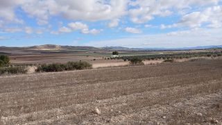 Terreno en venta en Yecla