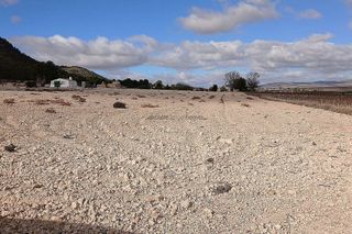 Terreno en venta en Yecla
