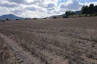 Terreno en venta en Yecla