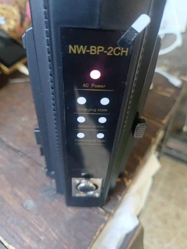 Neewer NW-BP2CH Cargador Doble V-Mount