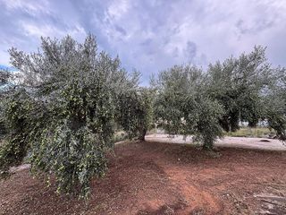 Chalet en venta en Costa Norte en Vinaròs