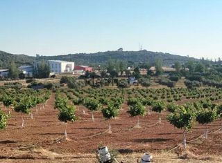 Terreno en venta en Higuera la Real
