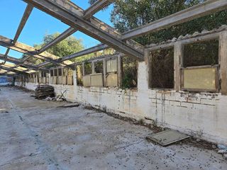 Local comercial en alquiler en Centre en Sant Carles de la Ràpita