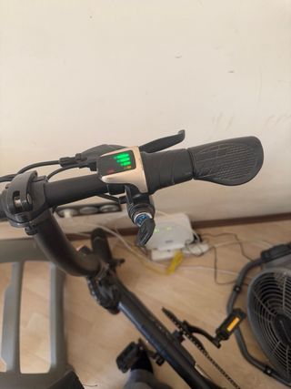 Bicicleta eléctrica Inmotion P2 Negra