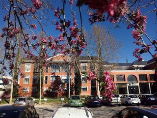 Piso en alquiler en Valdemarín en Madrid