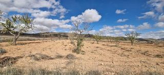 Terreno en venta en Abanilla