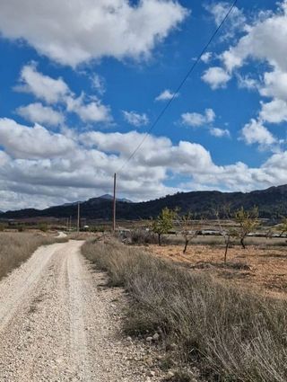 Terreno en venta en Abanilla