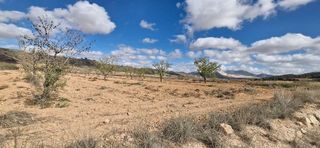 Terreno en venta en Abanilla