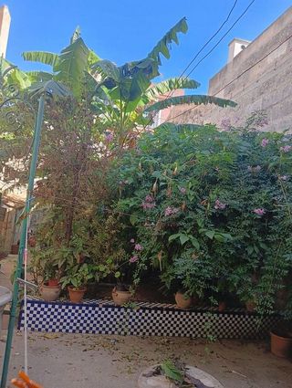 Chalet en venta en Manacor Centro en Manacor