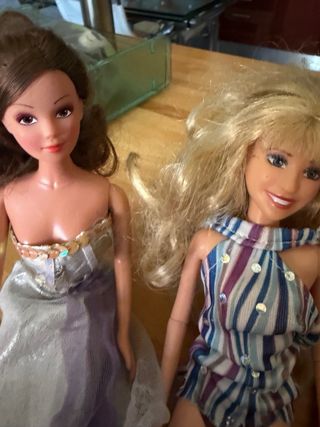 Lote de 7 muñecas Barbie