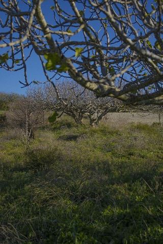 Solar en venta en La Banda - Campo de Fútbol en Chiclana de la Frontera