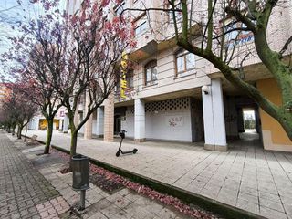 Local comercial en venta en El Ejido - Santa Ana en León