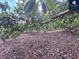 Terreno en venta en Centro en Nerja