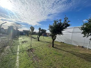 Casa rural en venta en Palacios y Villafranca (Los)