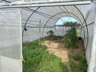 Casa rural en venta en Palacios y Villafranca (Los)