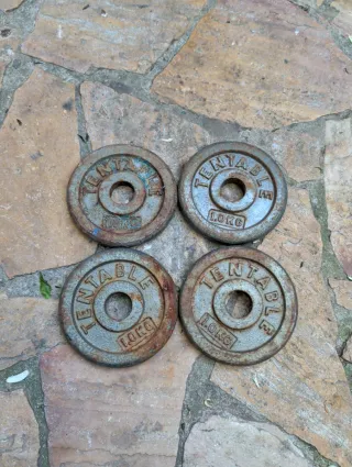 Discos de pesas Tentable 1kg (4 unidades)