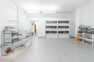 Local comercial en venta en San Pedro - Siana en Mieres